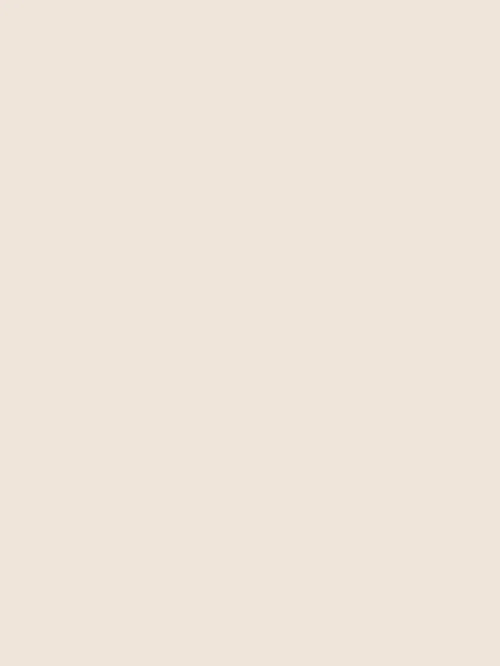 Soft Beige cabinet door — XKitchens