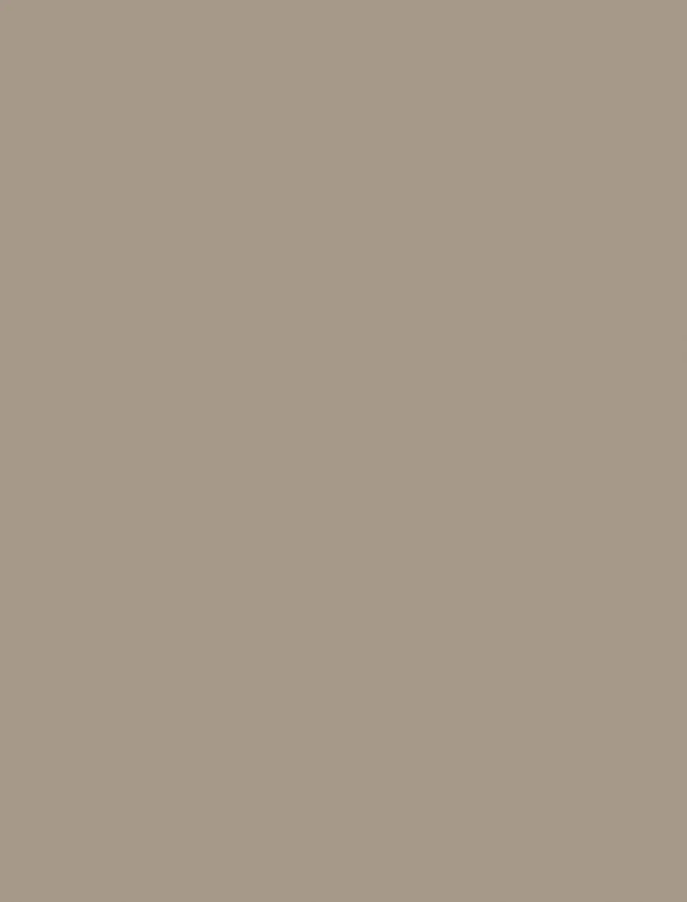 Stone Grey cabinet door — XKitchens